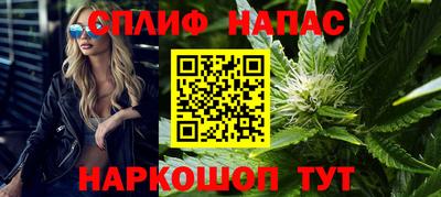 гашик Донской